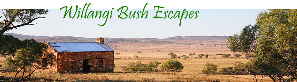Willangi Bush Escapes